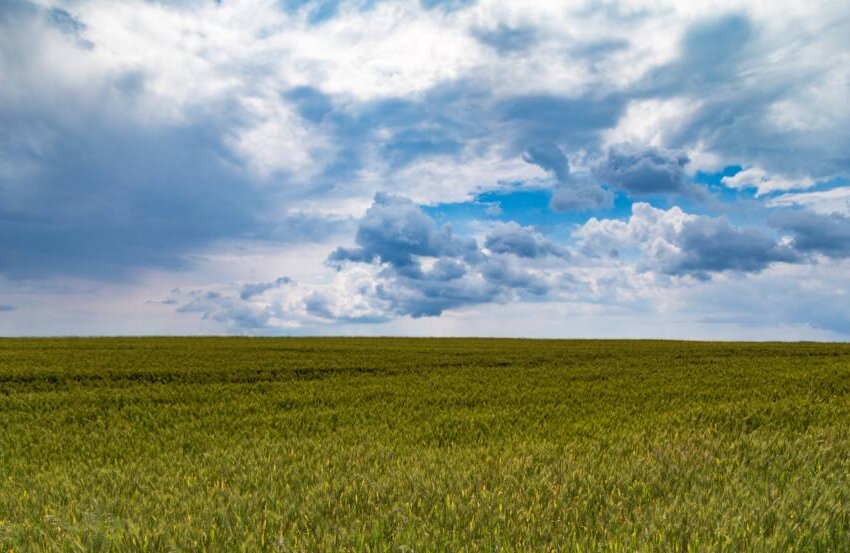 Brazil's largest agrochemical manufacturer: Nortox celebrates 70 years