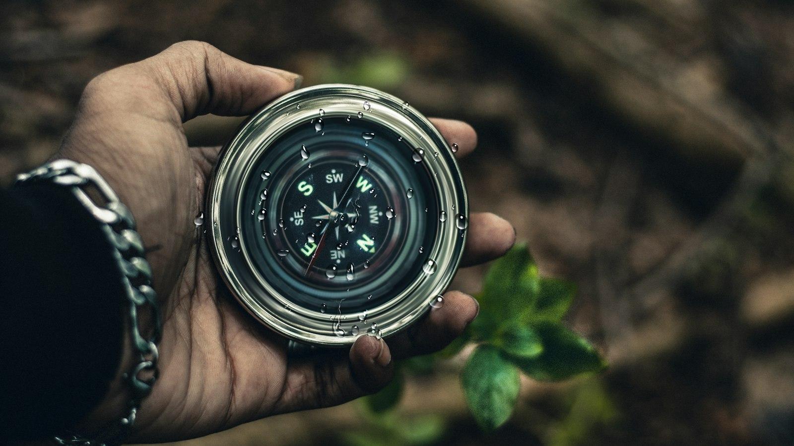 Navigating the Shifting Landscape: Strategies for Success