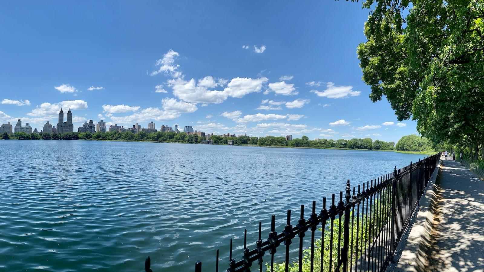 Seizing Opportunities: Embracing Innovation and Adaptability