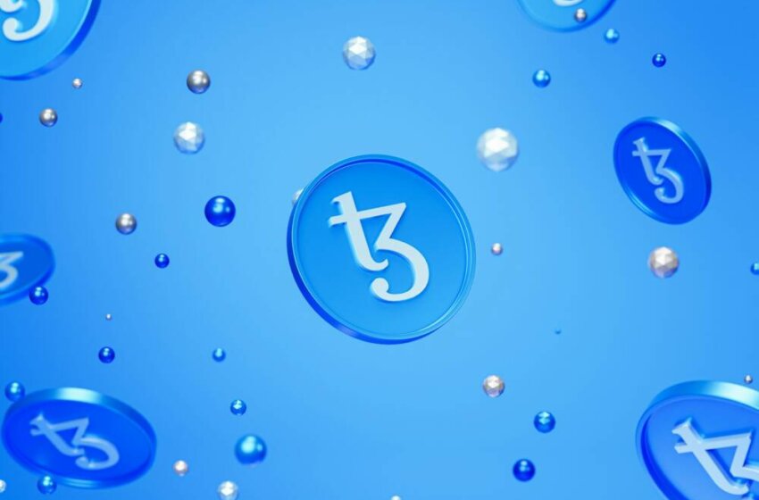 Breaking Down the Wild Ride: A Deep Dive into Cryptocurrency Market Trends